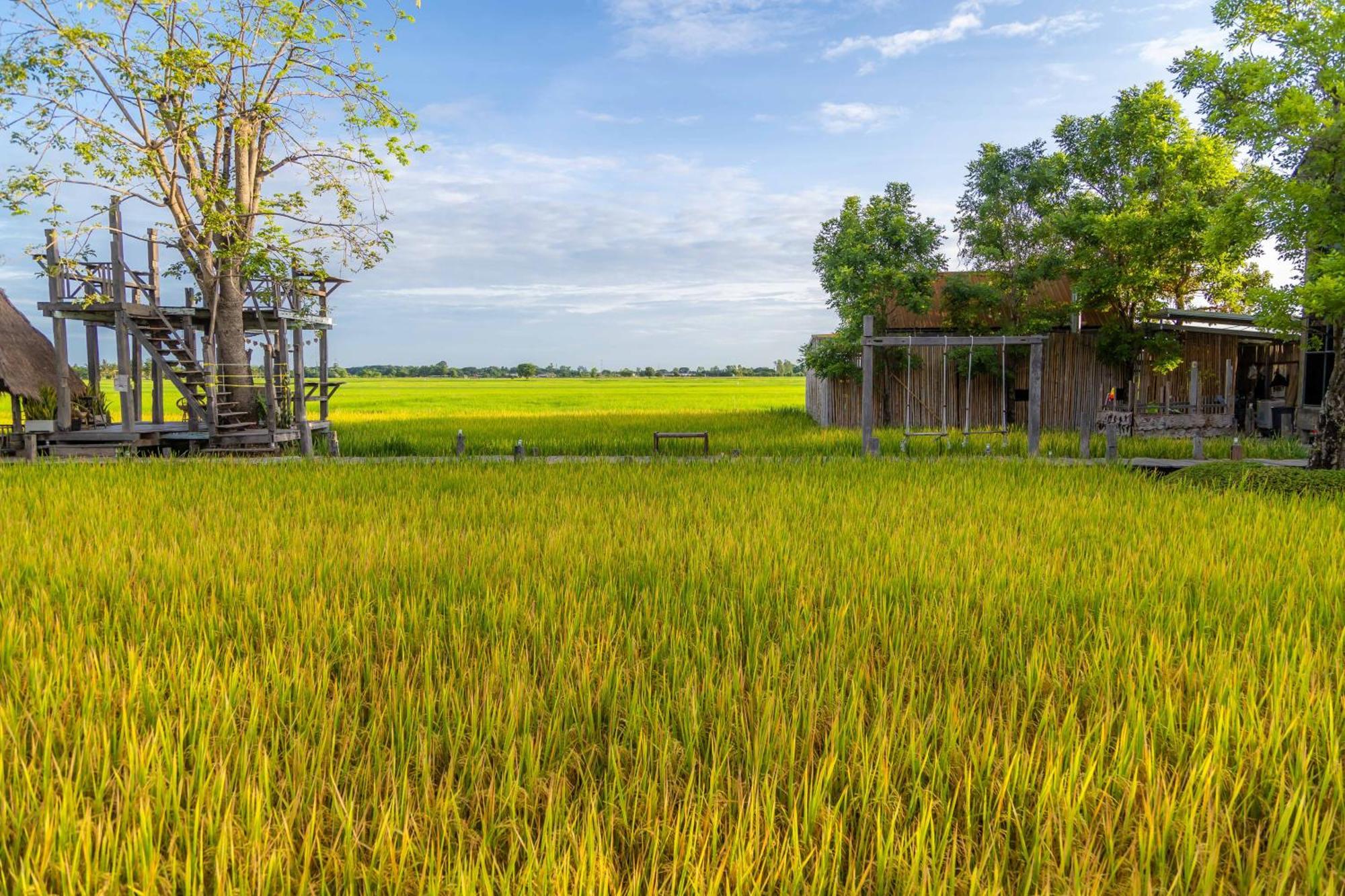 Nakhao Cottage Phitsanulok Buitenkant foto